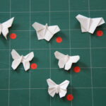 papillons 004